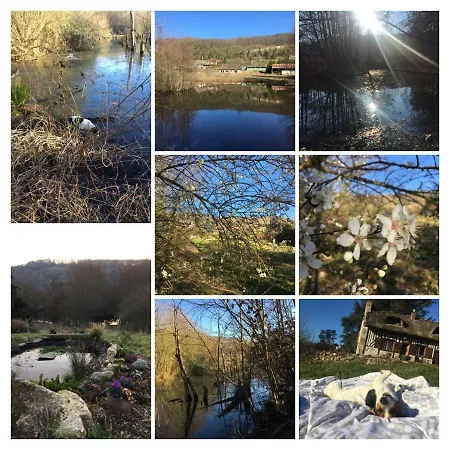 Gites Du Vert Buisson, Sur Site Biologique *