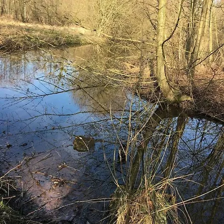 Gites Du Vert Buisson, Sur Site Biologique Prázdninový dům Fiquefleur-Équainville